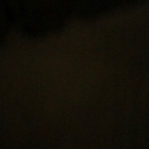 Meet your Posher, Bambi